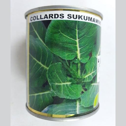 COLLARDS 50GMS KENYA HIGH