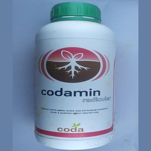 CODAMIN RADICULAR 1LTR
