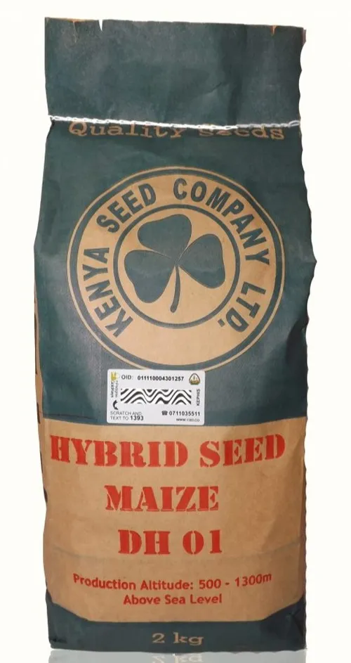 MAIZE DH01 HYBRID 2KG K.SEED