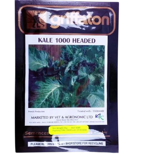 KALE 1000 HEADED 100GMS GS