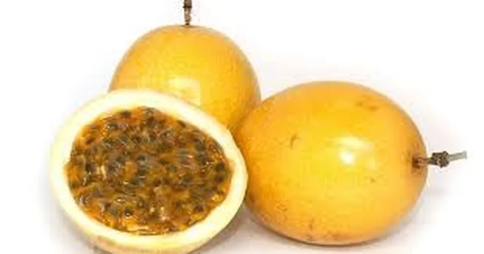 YELLOW PASSION (Small)