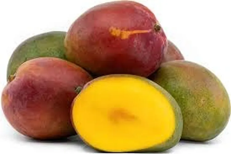 TOMMY MANGOES (Small)