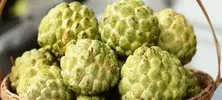 CUSTARD APPLE (Small)