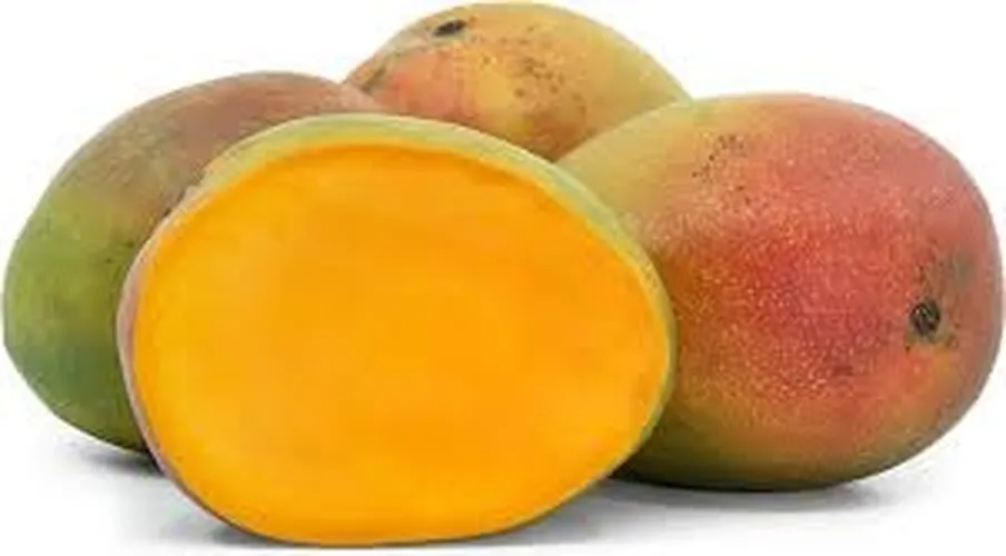 KENT MANGO (Small)