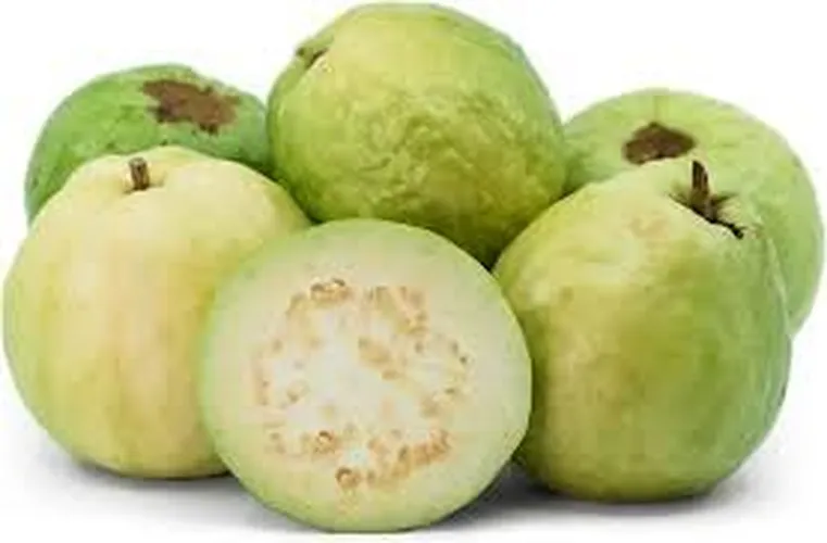 WHITE GUAVAS (Small)