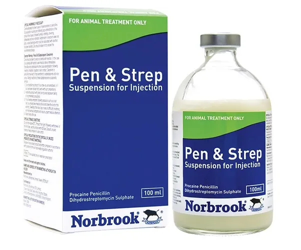 PENSTREP   50MLS NORBROOK