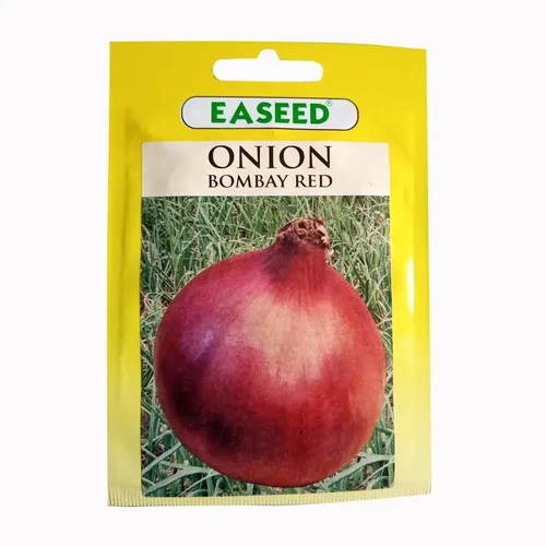 ONION BOMBAY RED 250GM EA