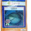 CABBAGE ZAWADI FI 25GM