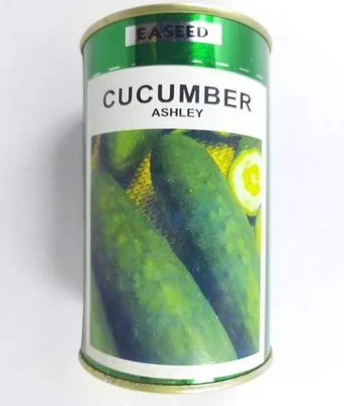CUCUMBER ASHLEY 10GMS EA