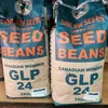 BEANS GLP 24 CANADIAN