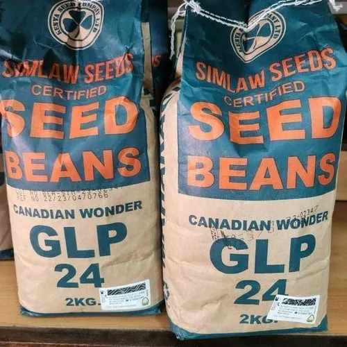 BEANS GLP 24 CANADIAN
