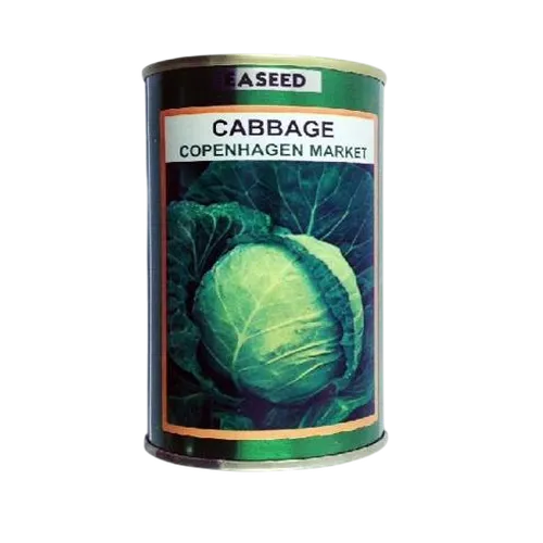 CABBAGE COPENHAGEN 50GM SIM