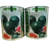 W MELON SUGARBABY 500GMS SIM