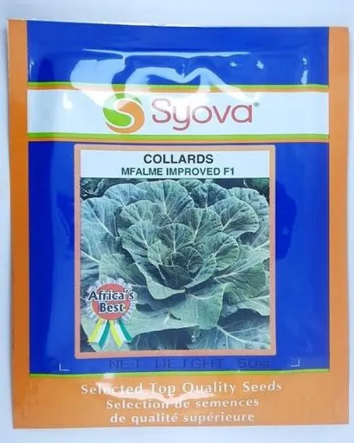 COLLARDS MFALME F1 IMPROVED  25GM EA
