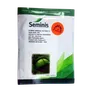 CABBAGE VICTORIA  25GMS