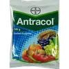 ANTRACOL 100GMS
