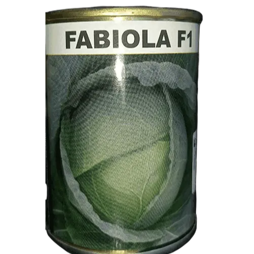 CABBAGE FABIOLA F1 10GMS