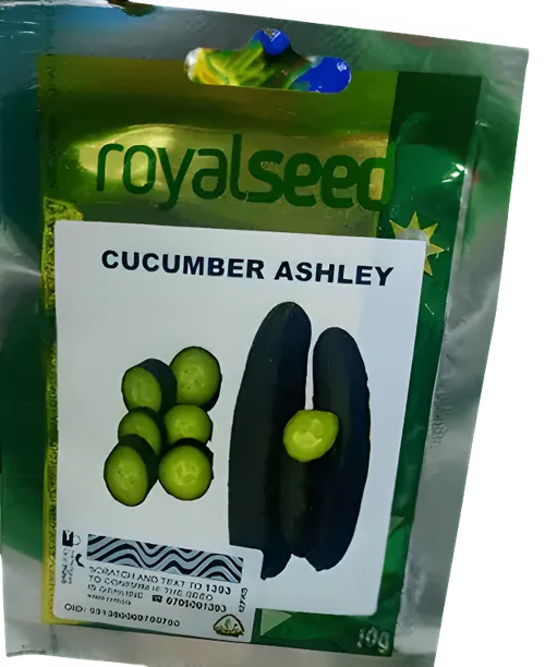 CUCUMBER ASHLEY 25GMS ROYAL